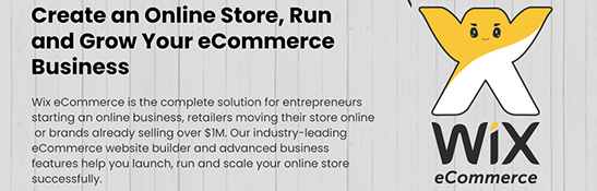 wix eCommerce developers in bangalore