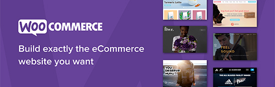 woocommerce website development company bangalore